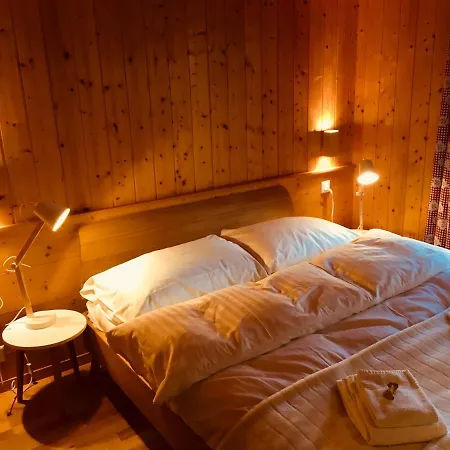 Steinboeckle****s * Saas Fee
